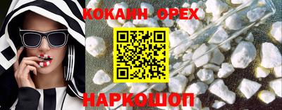 гидропоника Будённовск