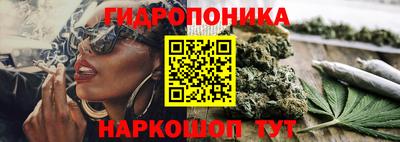 гидропоника Будённовск