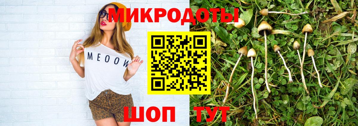 где купить наркоту  Псилоцибиновые грибы мухоморы  Вход с VPN  Партизанск 