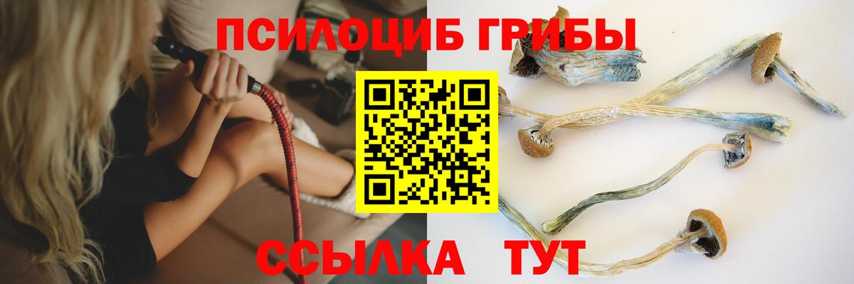 Псилоцибиновые грибы мицелий Партизанск